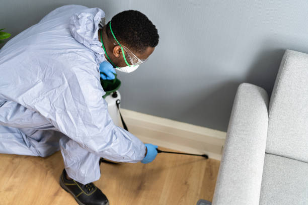 Best Residential Pest Control  in Hughes Springs, TX